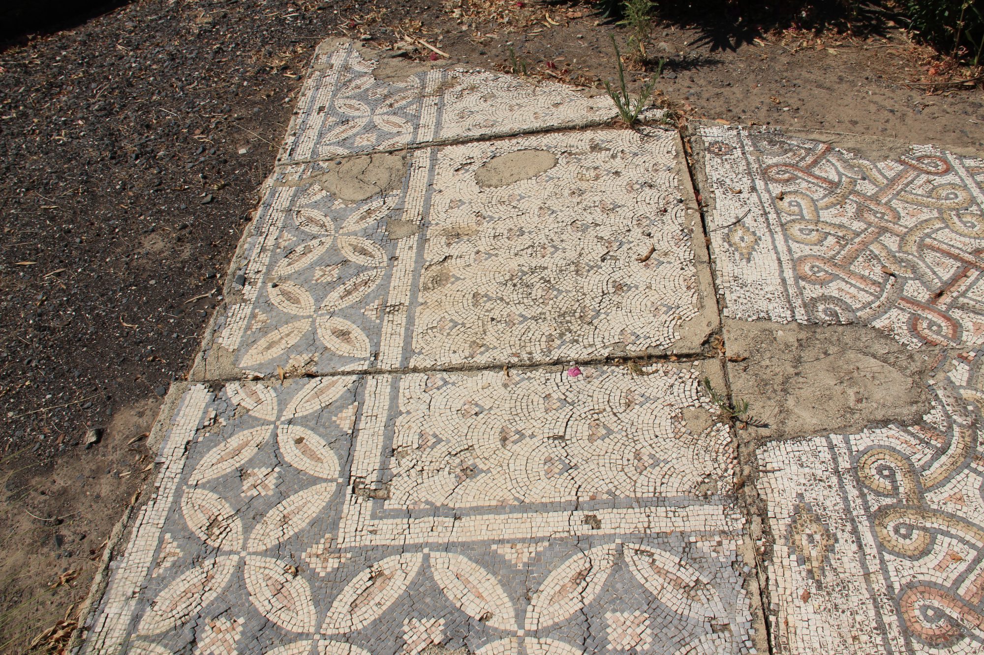 Capharnaum 74